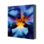 IP65 waterproof and scratch-resistant LED floor video wall for high-traffic public events